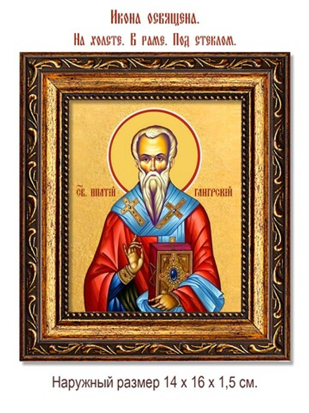 Ипатий епископ Гангрский чудотворец. Икона на холсте.