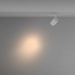 Трековый светильник Technical TR029-3-20W3K-S-W