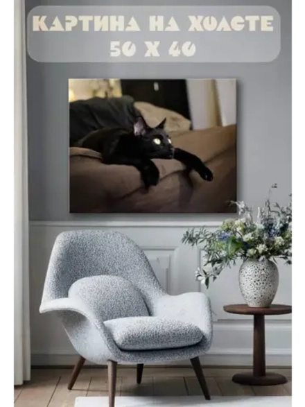 Картина на стену 40 X 50 Кошка