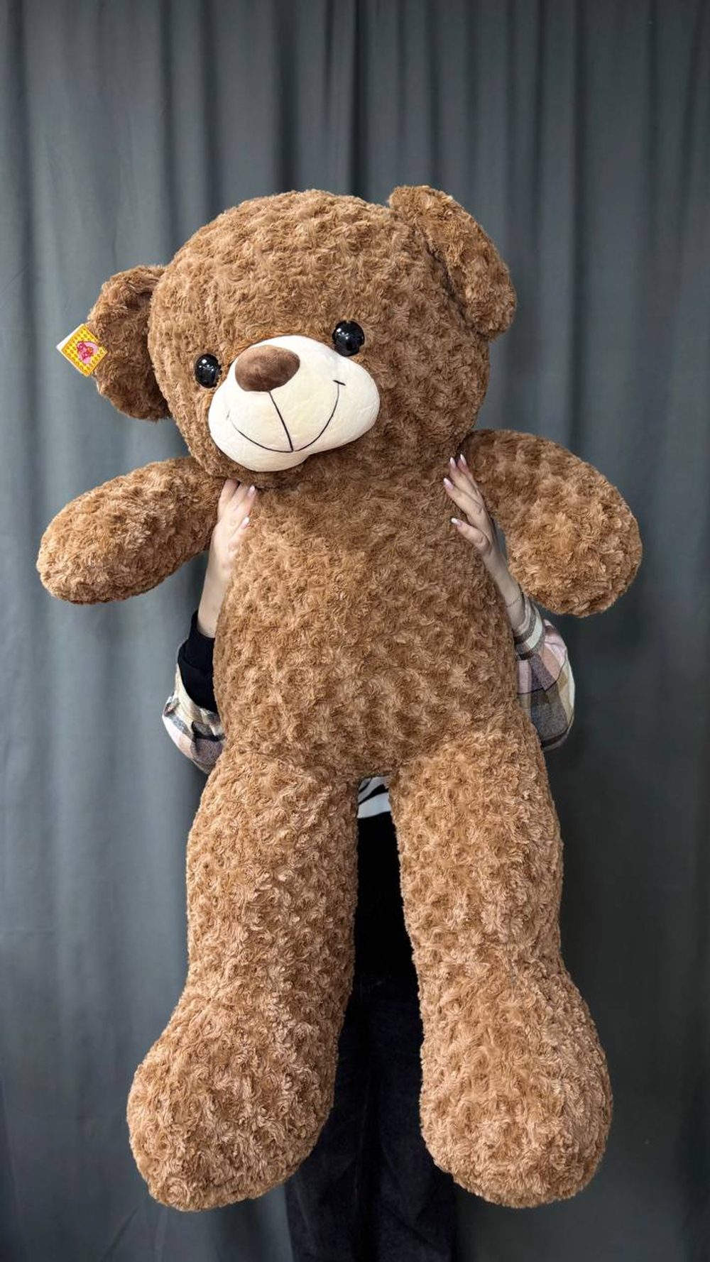 Большой коричневый медведь