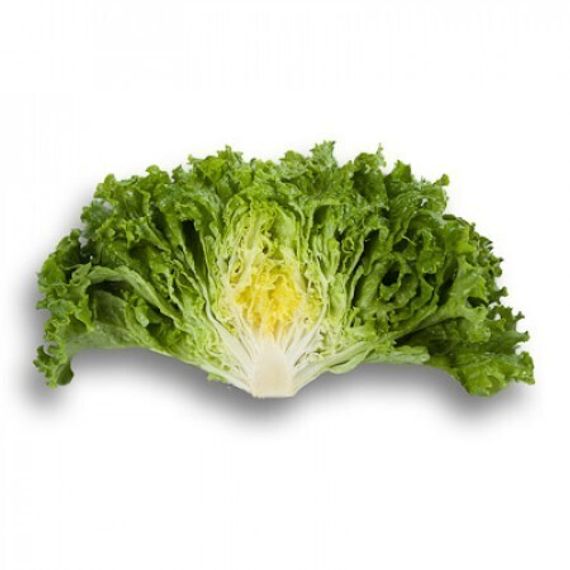 СТАРФАЙТЕР семена салата Rijk Zwaan описание