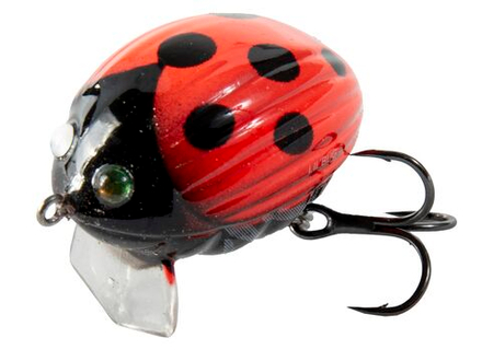 Воблер плавающий Salmo LIL BUG F 03/LB