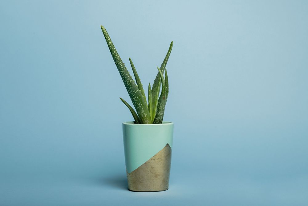 Superior 02 2.72 Х 11м Sky Blue