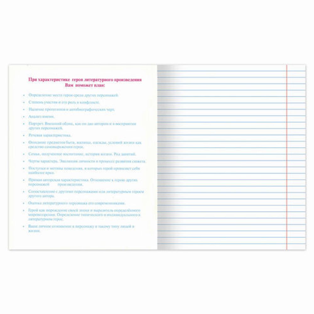 Тетрадь предметная NAVIGATOR 48 листов, выборочный лак, ЛИТЕРАТУРА, клетка, подсказ, BRAUBERG, 403544