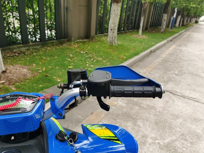 Квадроцикл YACOTA TYPHOON 250 бензин