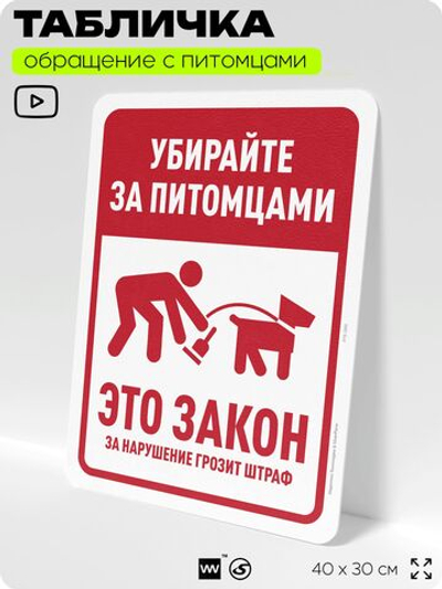 Табличка "Убирайте за питомцами" на дверь и забор, для двора, дома, подъезда, 40х30 см, Silver Plane x Айдентика Технолоджи