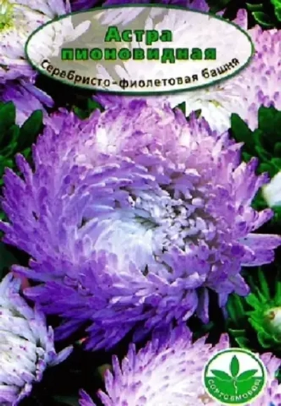 Семена Астра пионовидная Серебристо-Фиолетовая Башня, 0,3гр