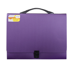 Папка-портфель на застежке Alingar, А4 360х265х40 мм, пластиковая, 800 мкм, ассорти, матовая, карман для визитки, "Flossy"