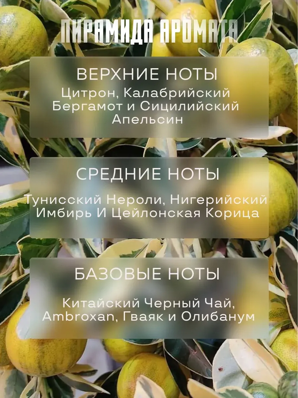 Отдушка для свечей парфюмерная Imagination мыла