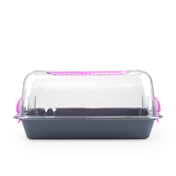 Террариум ZOOSET прозрачный серый/сиреневый - S (33х24х15 см)