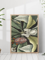 Набор постеров 50х70 белый цветок 163763729 ТТН 246259292