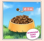 Сухой корм для собак ZILLII (Зилли) Dog Adult Small Breed 2кг индейка и ягненок для собак мелких пород