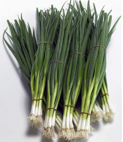 Тотем семена лука на перо (Sakata / Саката) – фото 2