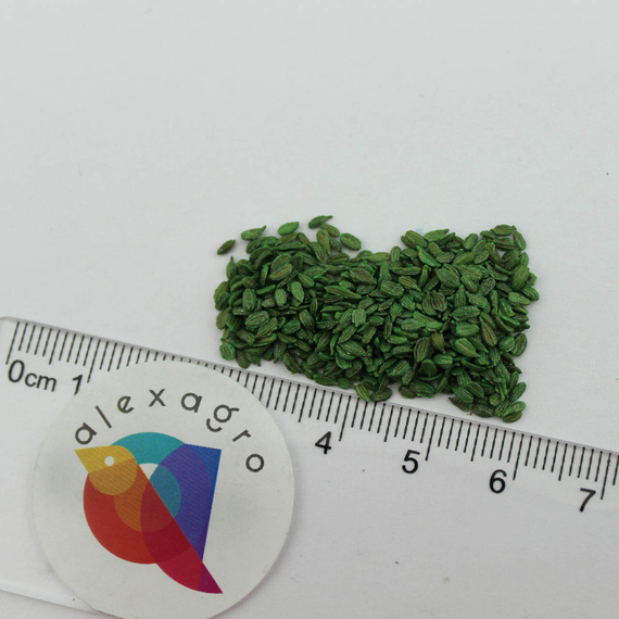 Самсон семена моркови нантской (Bejo / ALEXAGRO) семена – фото 7