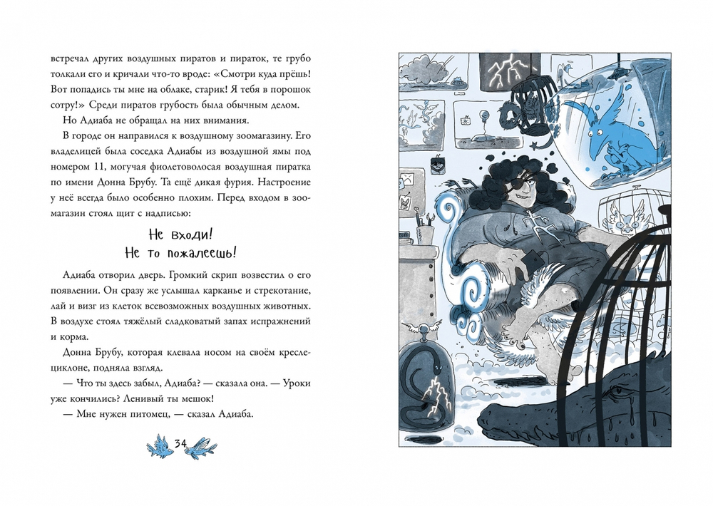 Воздушные пираты