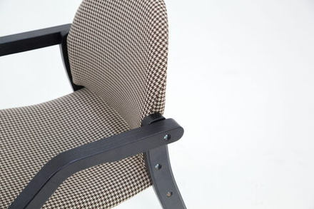 Стул-кресло Zip-mebel Джуно 2.0 чёрное дерево/гусиная лапка