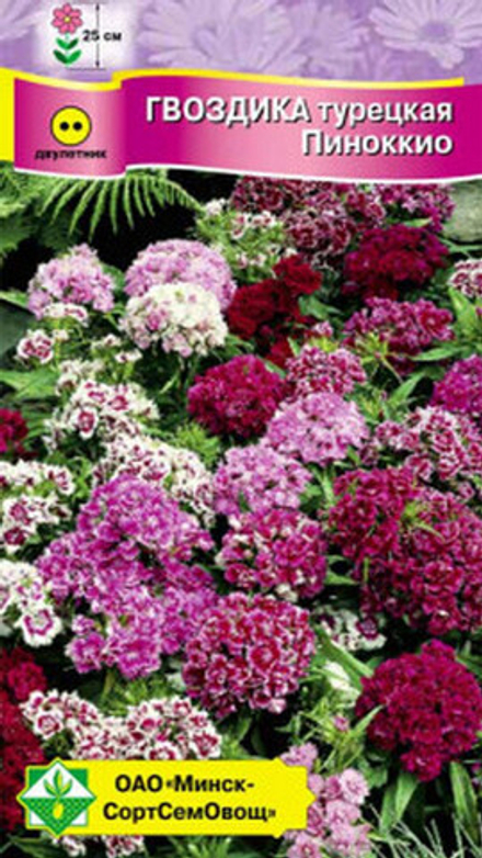 Гвоздика турецкая "Пиноккио" 0.3г, Германия.