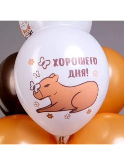 Набор шаров Капибара