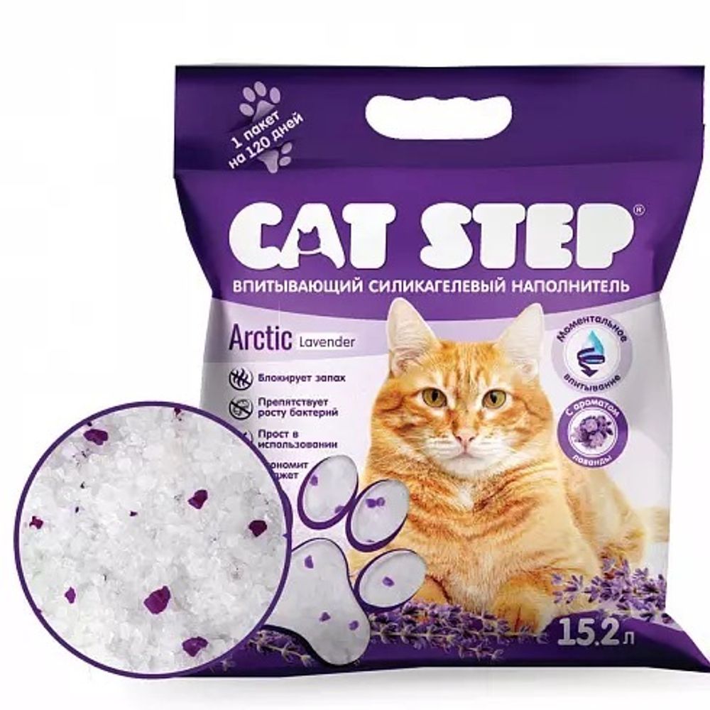 CAT STEP Arctic Lavеnder