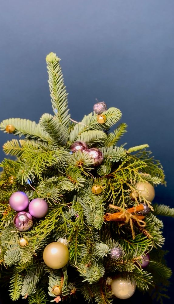 Ёлка из веток Нобилиса