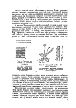 Определитель шляпочных грибов | Л.А. Лебедева