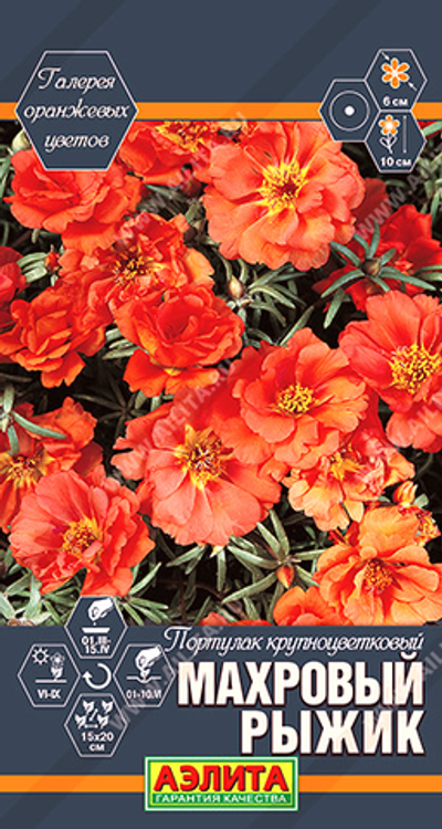 Портулак крупноцветковый Махровый Рыжик