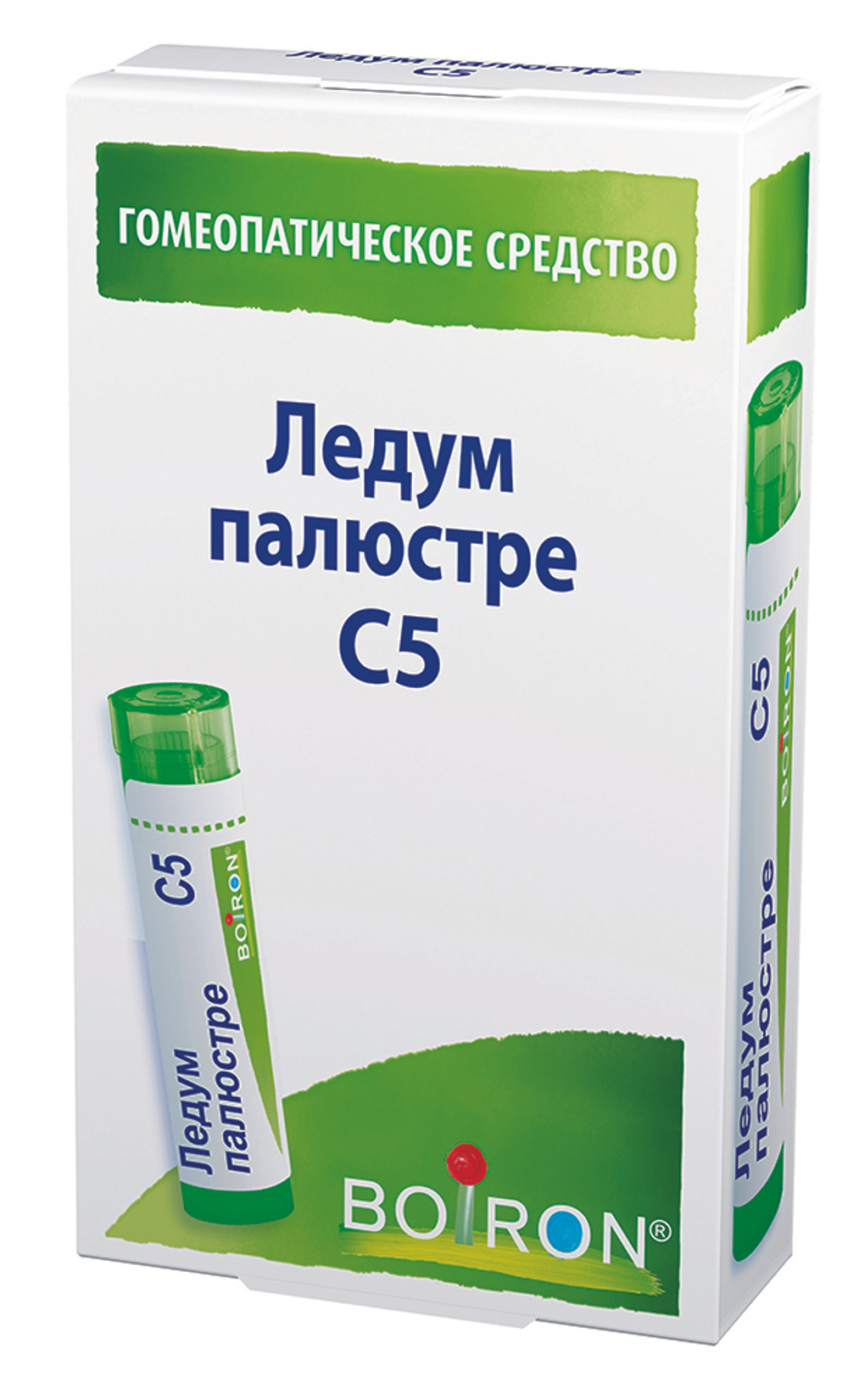 ЛЕДУМ ПАЛЮСТРЕ С5
