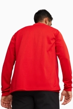 Кофта teamGOAL Training Jacket - красный