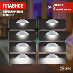 Ночник - светильник светодиодный ЭРА NLED-488-1W-MS-W настенный на батарейках с пультом белый