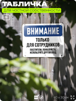 Табличка для частной территории "Внимание, только для сотрудников", на дом, для участка, организаций и частных территорий, предупреждающая, 40х30 см, Silver Plane x Айдентика Технолоджи