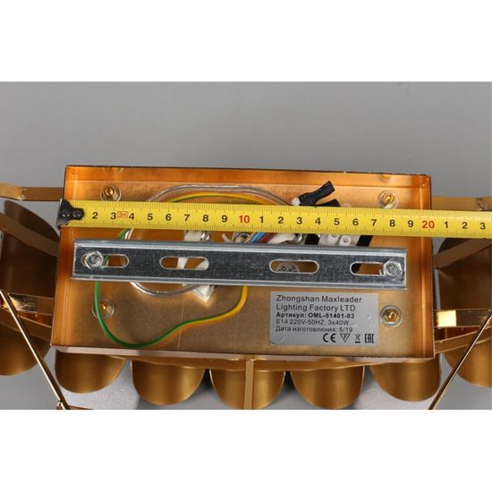 Светильник настенный (Бра) OML-81401-03