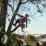 Husqvarna T535i XP пила цепная аккумуляторная (без АКБ и ЗУ) 9678939-14