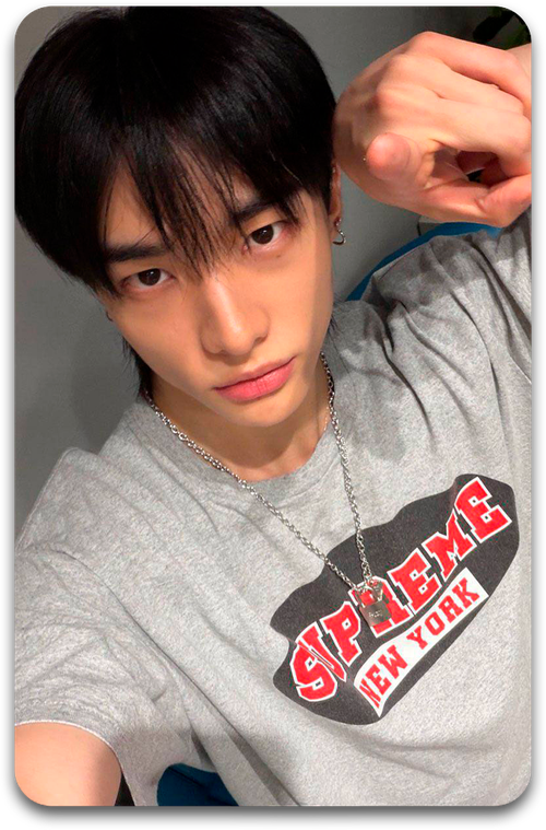 Карта / STRAY KIDS #5244