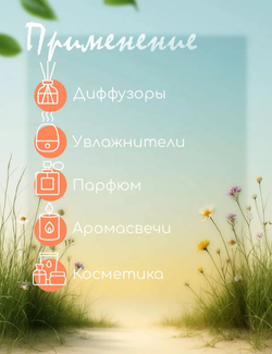 Эфирное масло «Персик», 10 мл, «Богатство Аромата