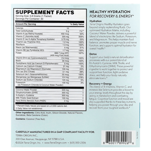 Terra Origin, Healthy Hydration +, лимонад, 30 пакетиков, по 5,8 г (0,20 унции)
