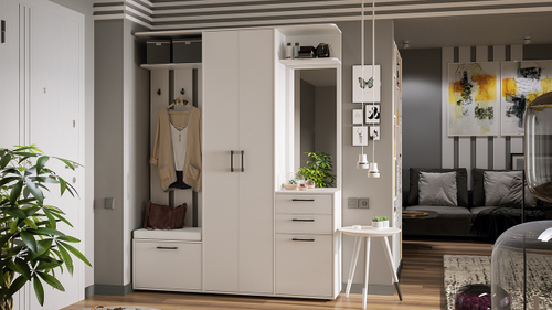 Прихожая «Витра» №3