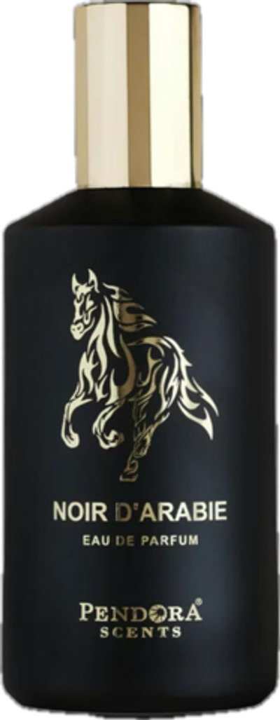 Pendora Scents Noir d'Arabie Eau De Parfum 100 ml