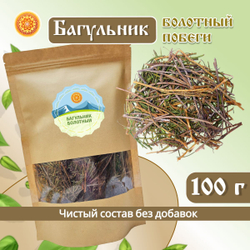 Багульник болотный побеги.