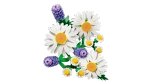 Конструктор LEGO Botanical Collection 11508 Daisies