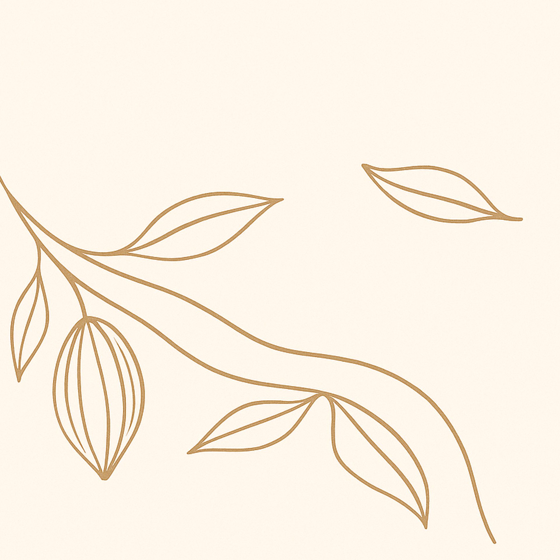 Сделай паузу, пока мир не сгорел