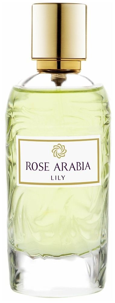 Arabia Rose lily