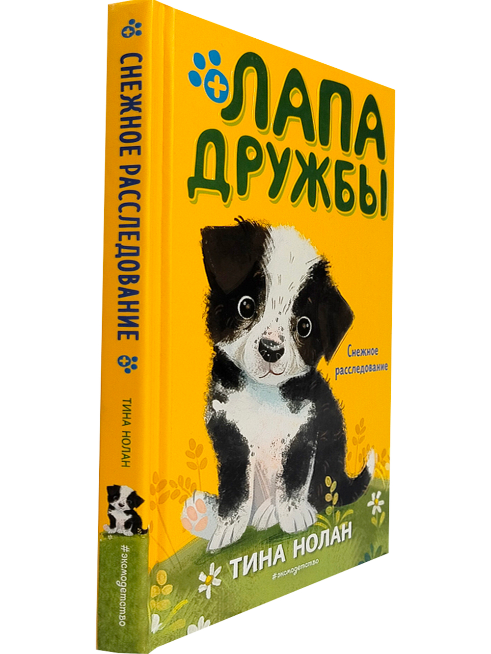 Снежное расследование