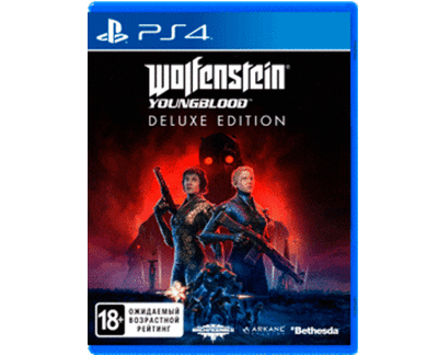 Wolfenstein: Young Blood (PS4) Б\У