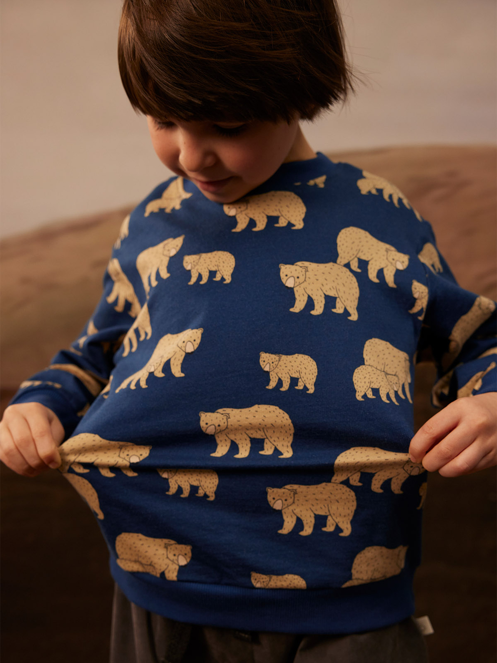 Утеплённый свитшот Mjölk Бурые мишки