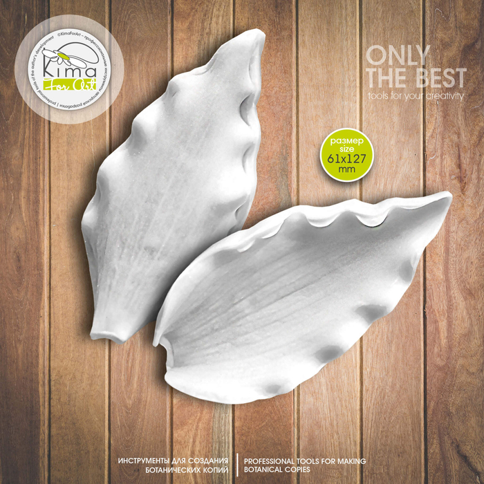 Тюльпан лист маленький широкий