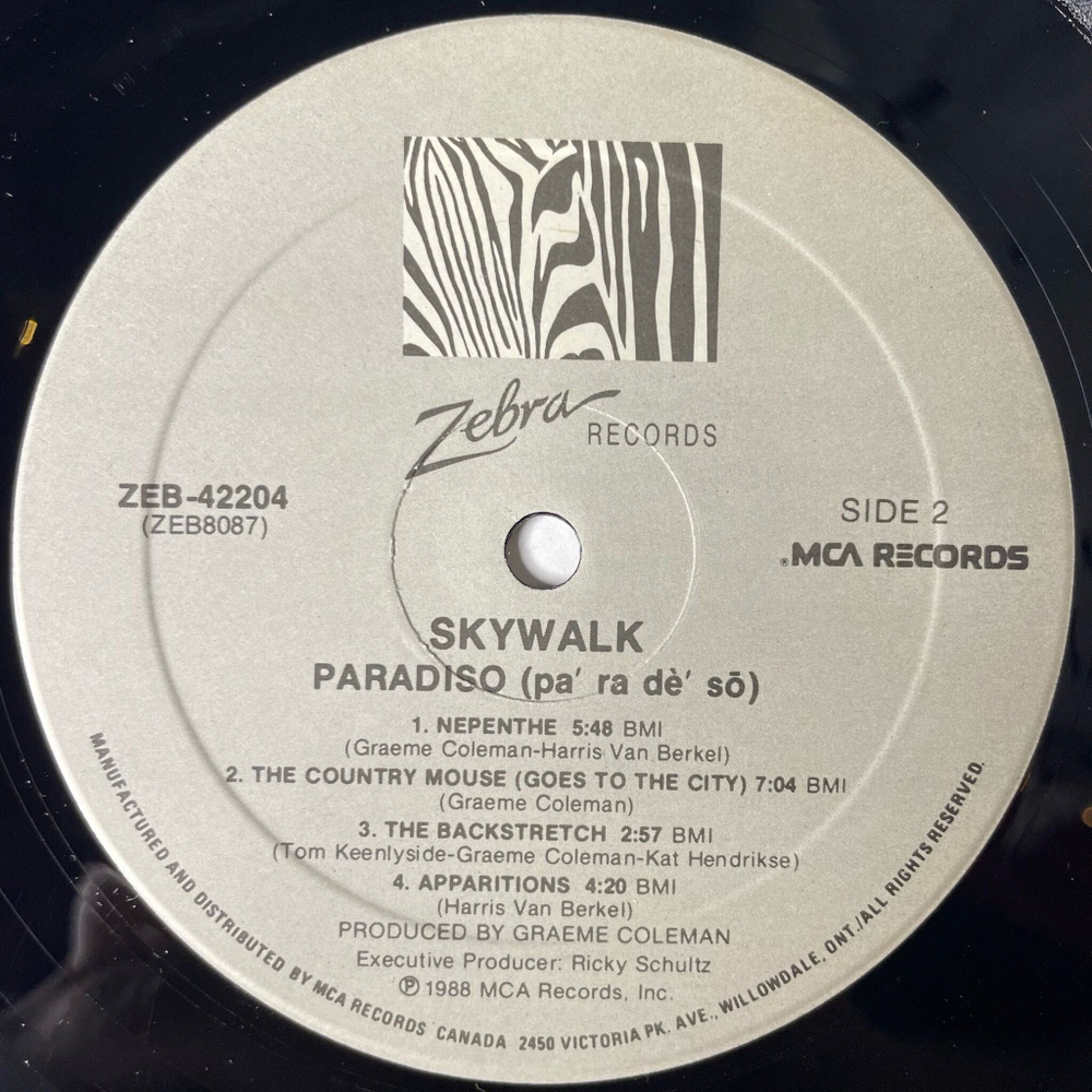 Винтажная виниловая пластинка LP Skywalk Paradiso (Canada 1988)