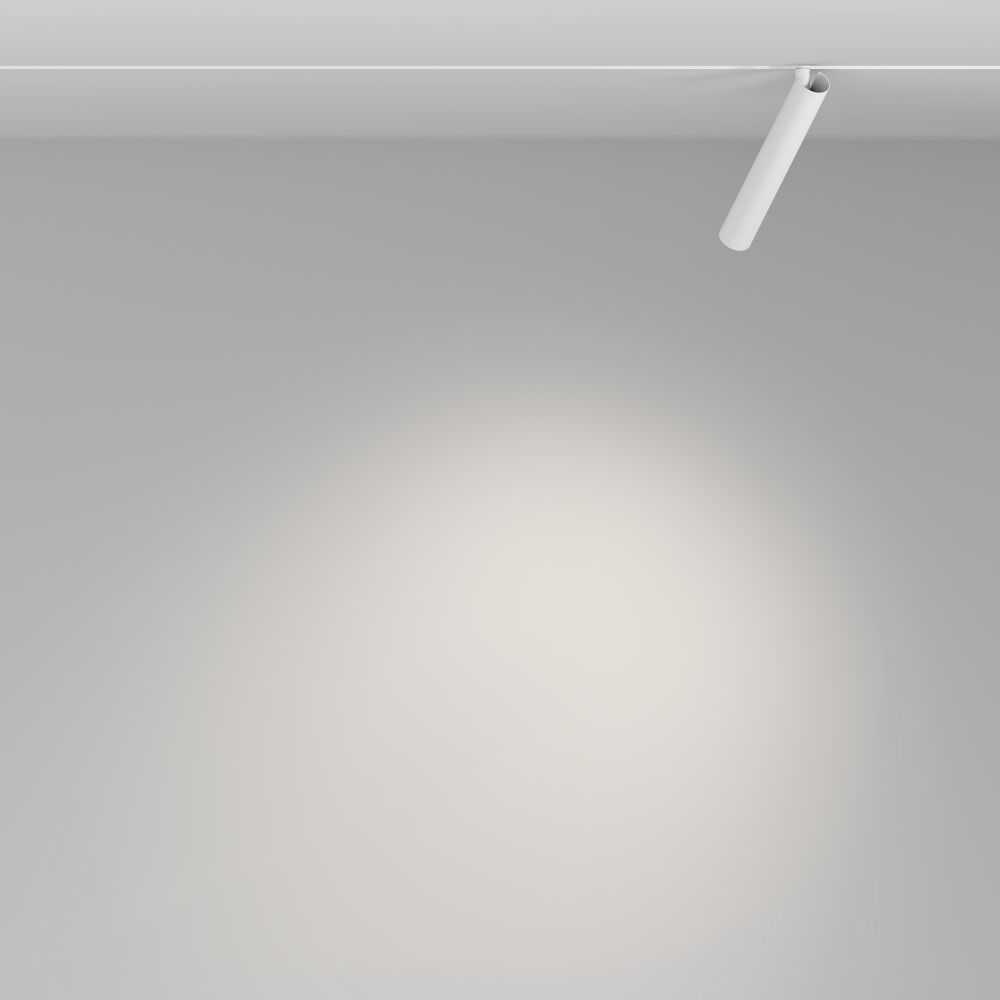 Трековый светильник светодиодный Maytoni Exility   TR141-2-6W4K-M-W