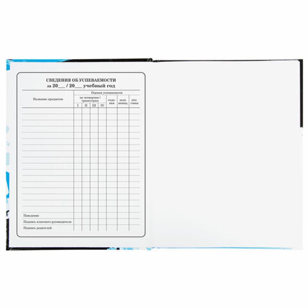 Дневник 1-4 класс 48 л., твердый, BRAUBERG, глянцевая ламинация, с подсказом, "Дрифт", 106355