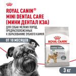 Royal Canin Mini Dental Care Корм сухой для собак мелких размеров 3 кг