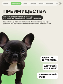 Корм сухой для щенков породы Французский бульдог, премиум полнорационный комплекс, с ягненком, 800 гр, QUATTRO
